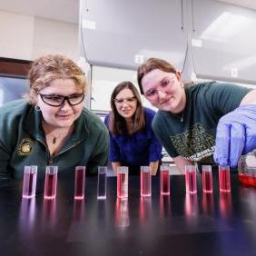 Melissa Langston, professor of chemistry, with two students in the chemistry lab.